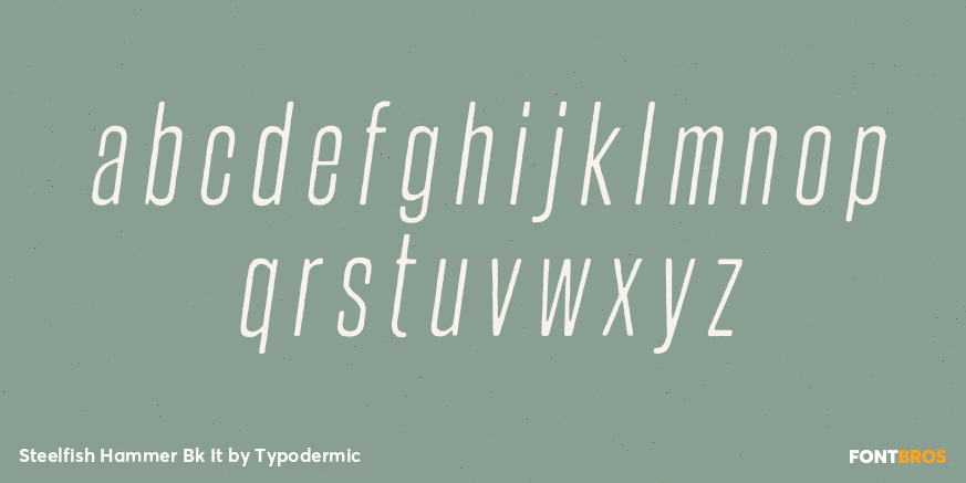 Steelfish Hammer Bk It Font Poster #1