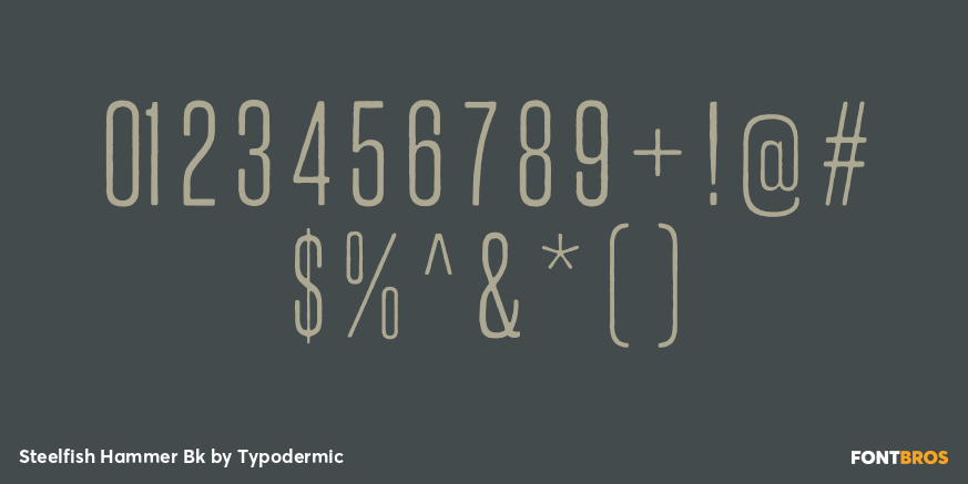 Steelfish Hammer Bk Font Poster #4