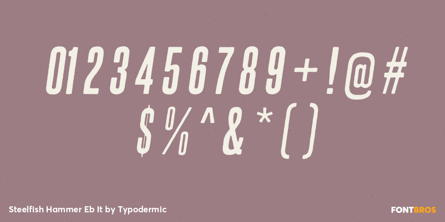 Steelfish Hammer Eb It Font Poster #4