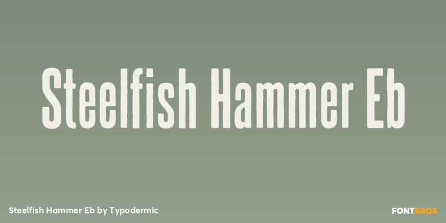 Steelfish Hammer Eb Font Poster #1