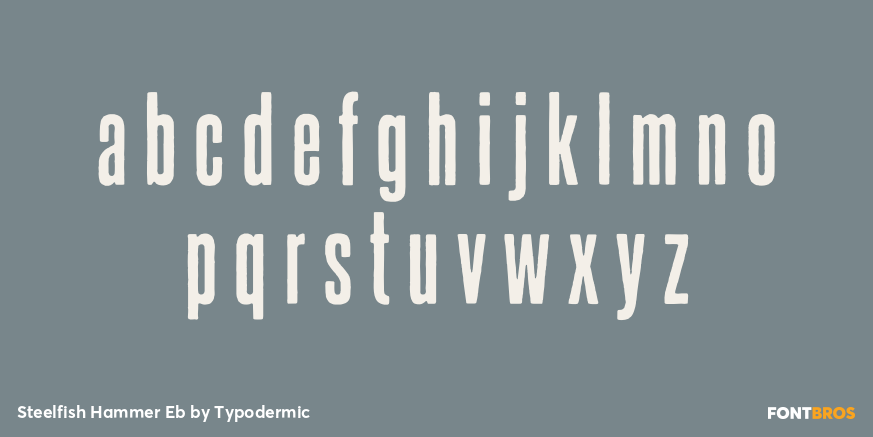 Steelfish Hammer Eb Font Poster #3