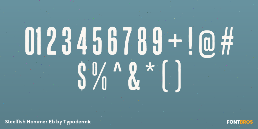 Steelfish Hammer Eb Font Poster #4