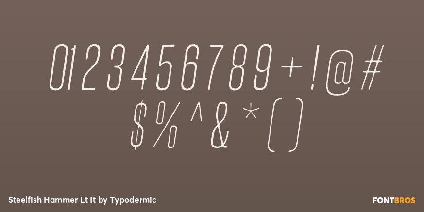 Steelfish Hammer Lt It Font Poster #4