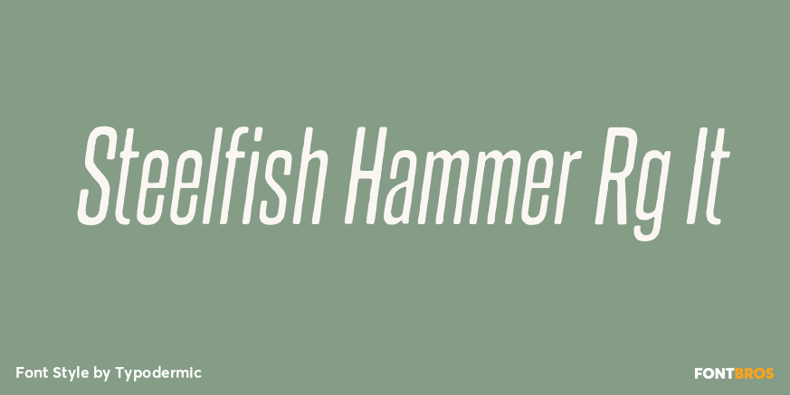 Steelfish Hammer Rg It Font Poster #1