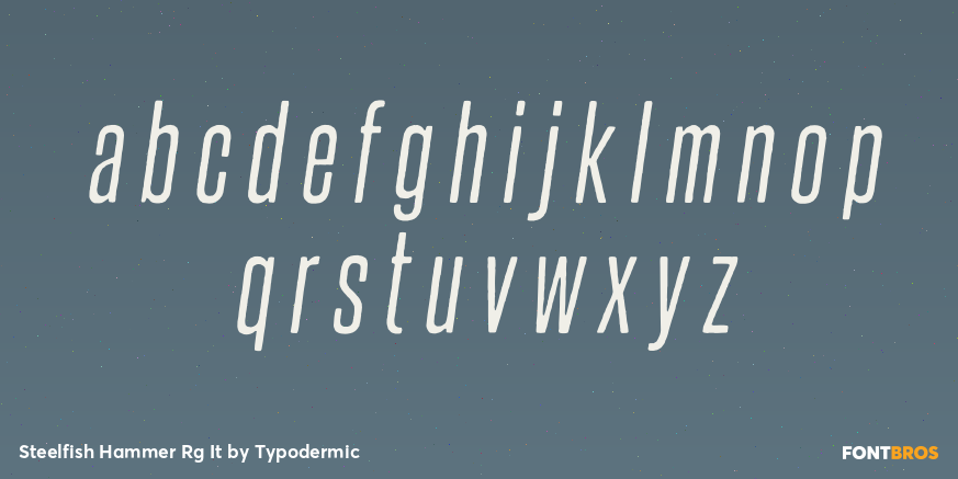 Steelfish Hammer Rg It Font Poster #3