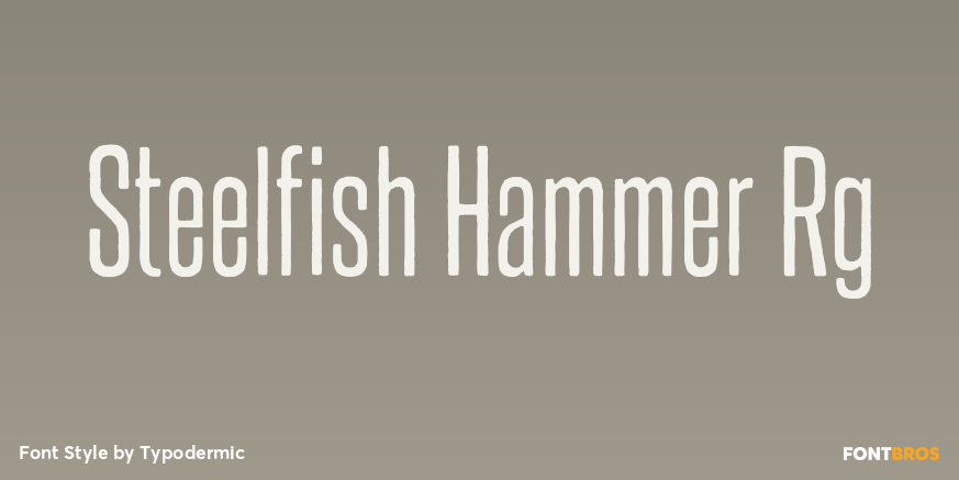 Steelfish Hammer Rg Font Poster #1