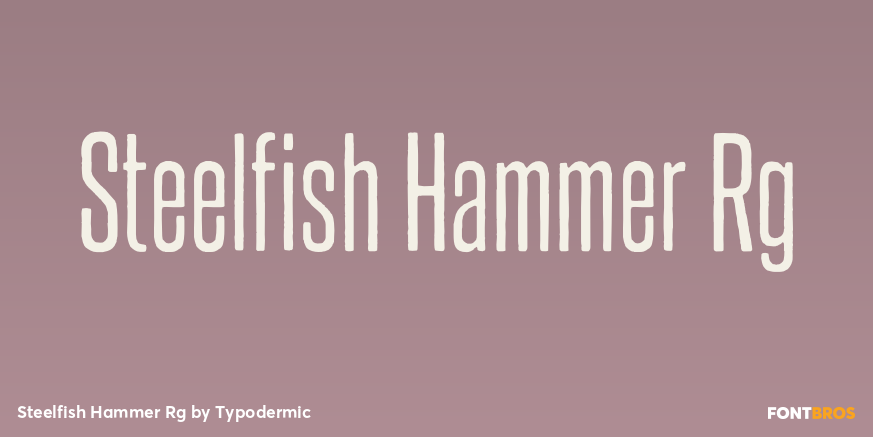 Steelfish Hammer Rg Font Poster #1