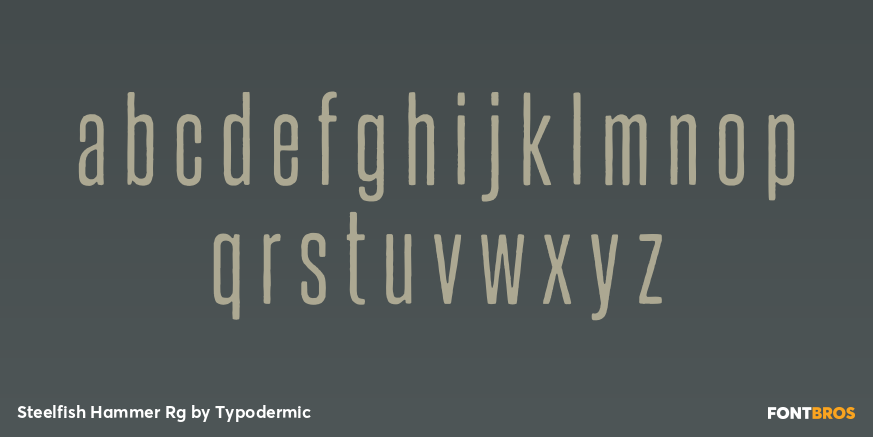Steelfish Hammer Rg Font Poster #3