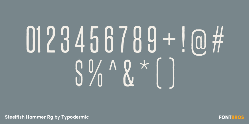 Steelfish Hammer Rg Font Poster #4