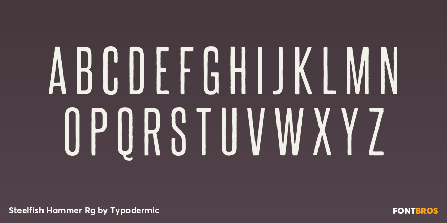 Steelfish Hammer Rg Font Poster #1