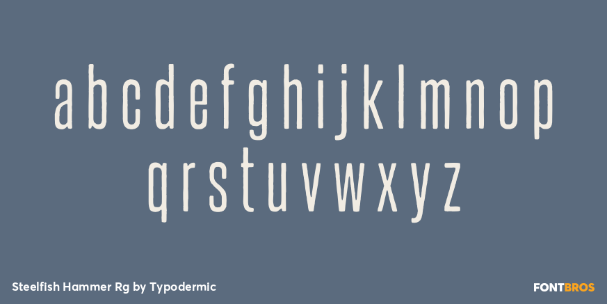 Steelfish Hammer Rg Font Poster #1