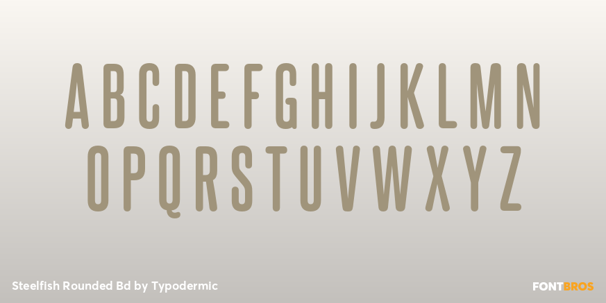 Steelfish Rounded Bd Font Poster #2
