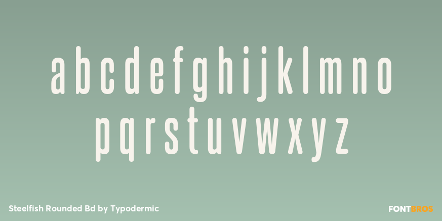 Steelfish Rounded Bd Font Poster #3