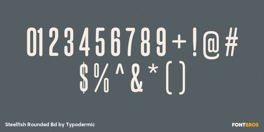 Steelfish Rounded Bd Font Poster #4