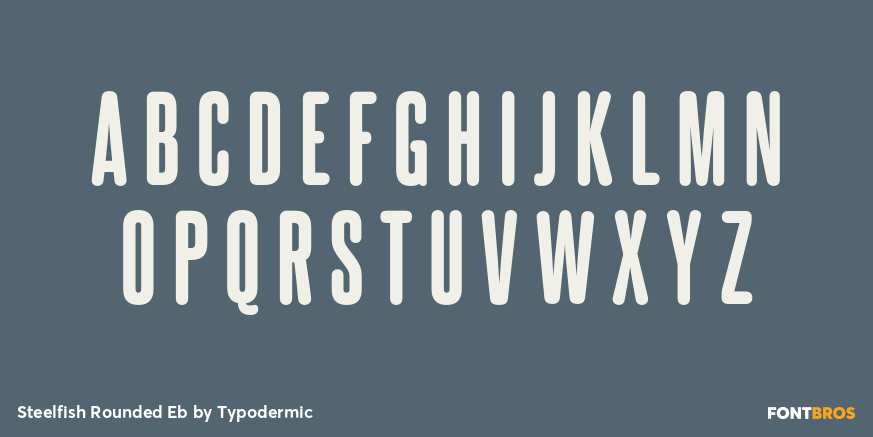 Steelfish Rounded Eb Font Poster #2