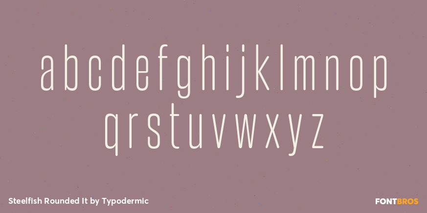 Steelfish Rounded It Font Poster #1