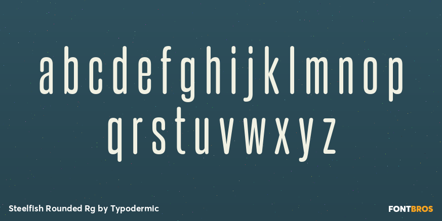 Steelfish Rounded Rg Font Poster #1