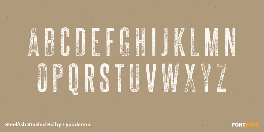 Steelfish Steeled Bd Font Poster #2