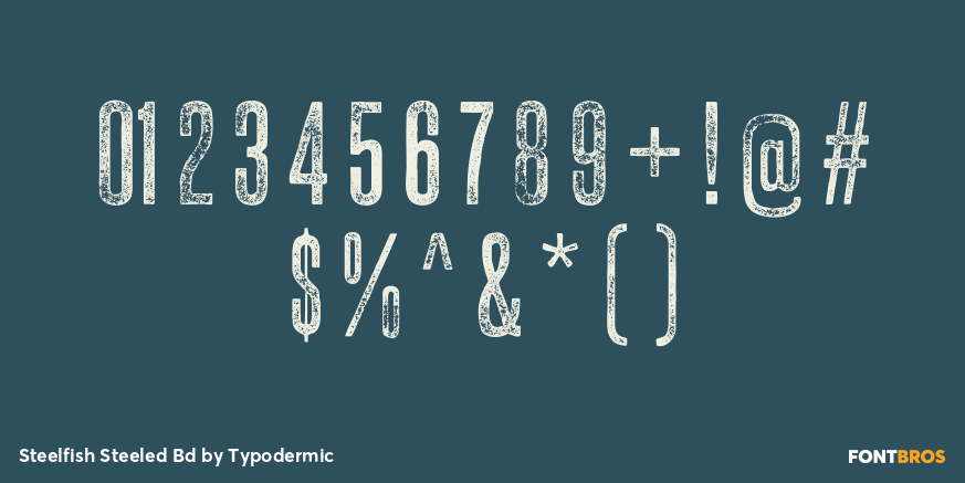 Steelfish Steeled Bd Font Poster #4
