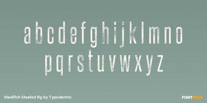Steelfish Steeled Rg Font Poster #3