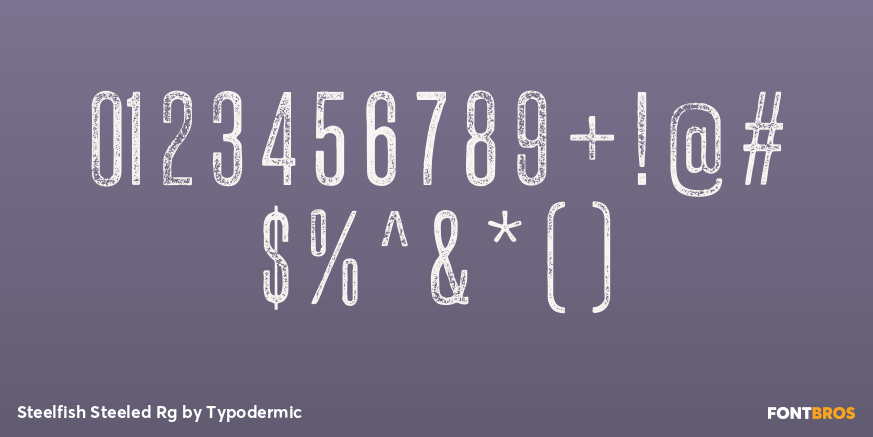 Steelfish Steeled Rg Font Poster #4