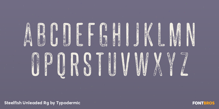 Steelfish Unleaded Rg Font Poster #2