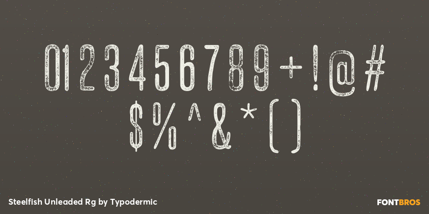 Steelfish Unleaded Rg Font Poster #4