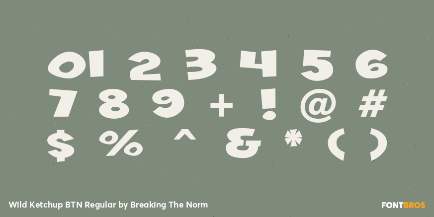 Wild Ketchup BTN Regular Font Poster #1