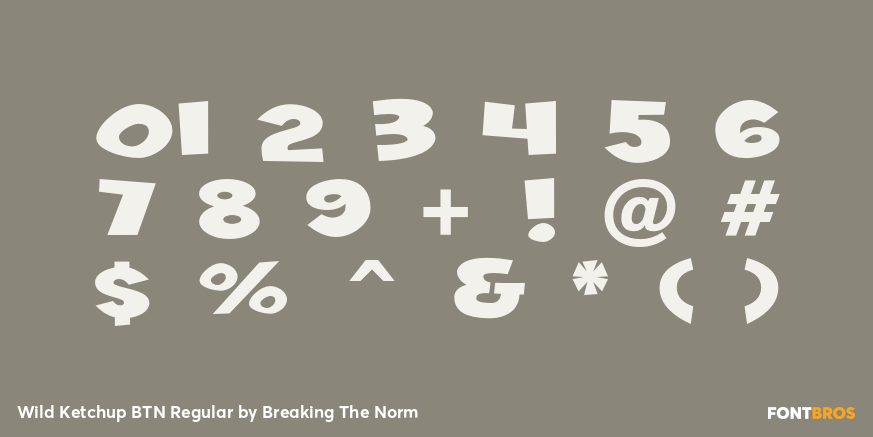 Wild Ketchup BTN Regular Font Poster #4