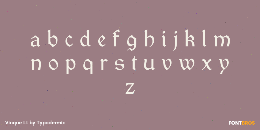 Vinque Lt Font Poster #3