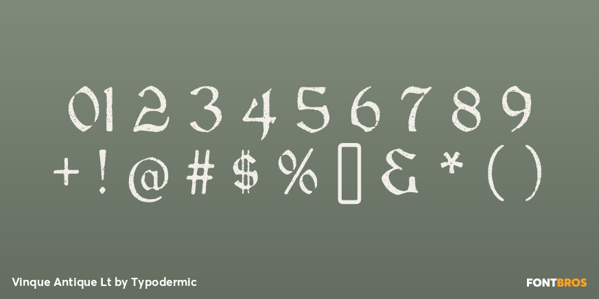 Vinque Antique Lt Font Poster #4