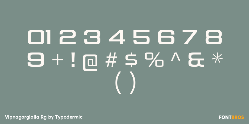 Vipnagorgialla Rg Font Poster #4