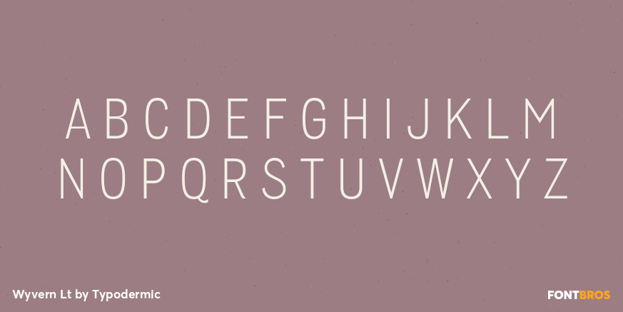 Wyvern Lt Font Poster #2