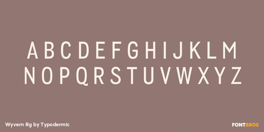 Wyvern Rg Font Poster #2