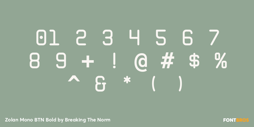 Zolan Mono BTN Bold Font Poster #4