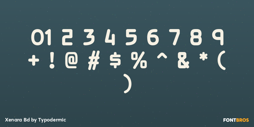 Xenara Bd Font Poster #1