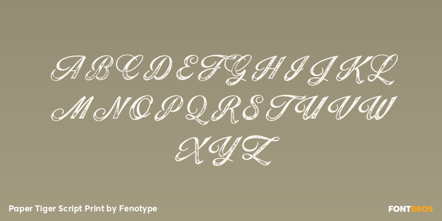 Paper Tiger Script Print Font Poster #2