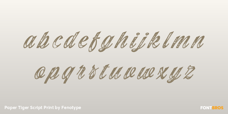 Paper Tiger Script Print Font Poster #3