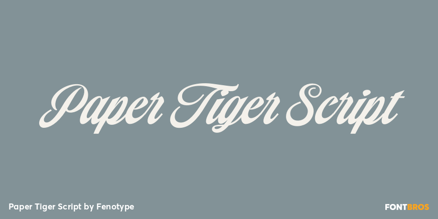 Paper Tiger Script Font Poster #1