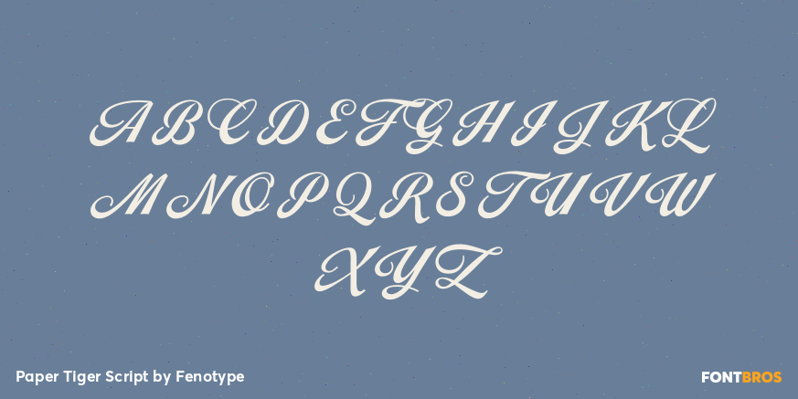 Paper Tiger Script Font Poster #2