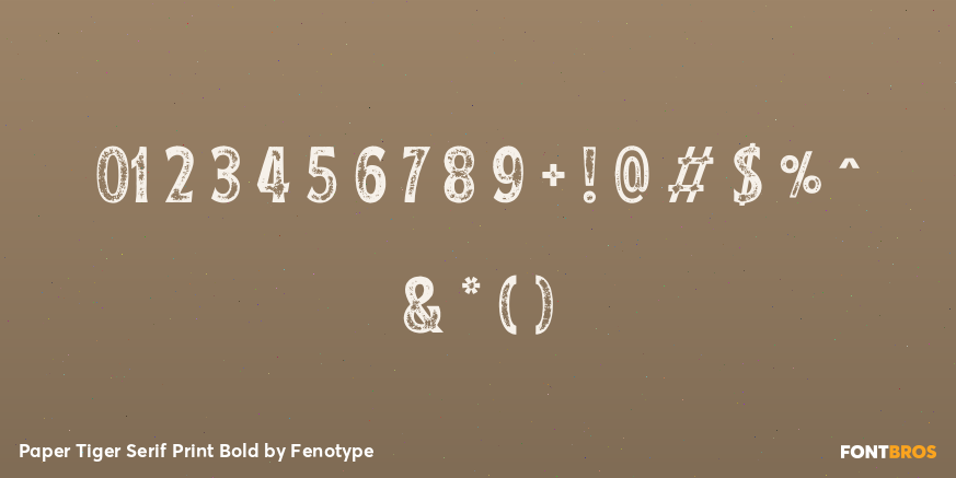 Paper Tiger Serif Print Bold Font Poster #1