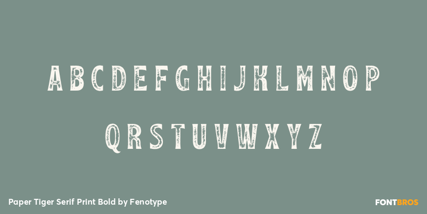 Paper Tiger Serif Print Bold Font Poster #2