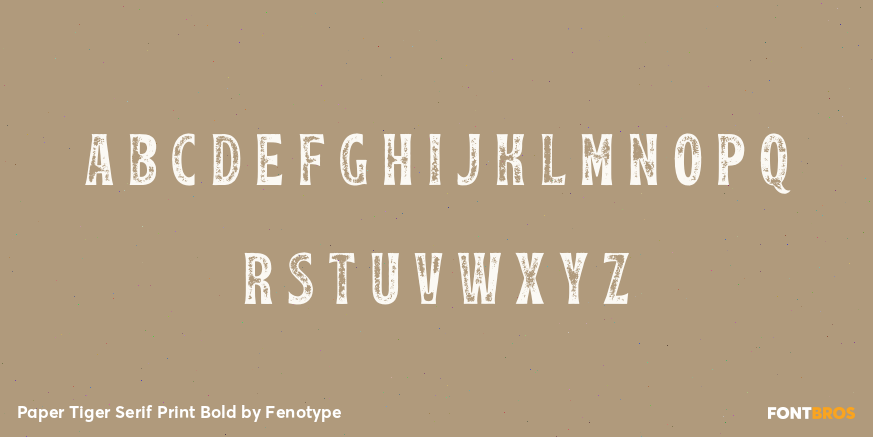 Paper Tiger Serif Print Bold Font Poster #3