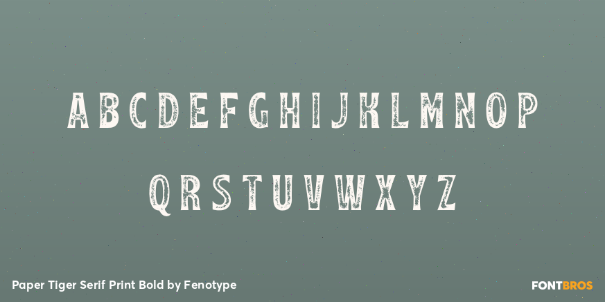 Paper Tiger Serif Print Bold Font Poster #1