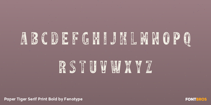 Paper Tiger Serif Print Bold Font Poster #1