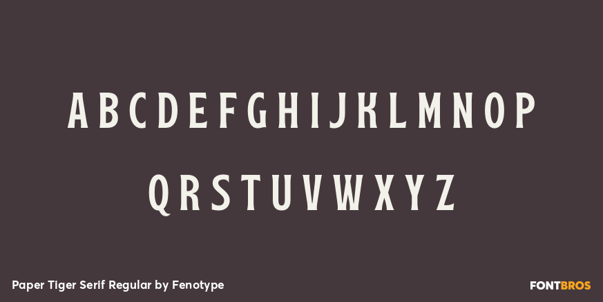 Paper Tiger Serif Regular Font Poster #2