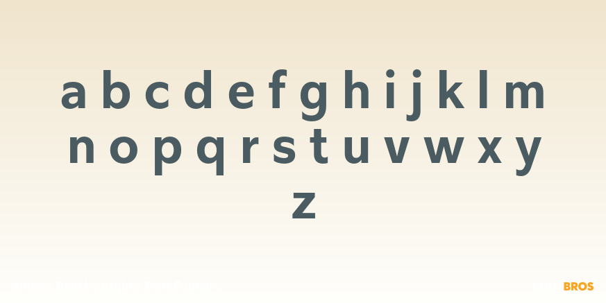 Antona Bold Font Poster #3