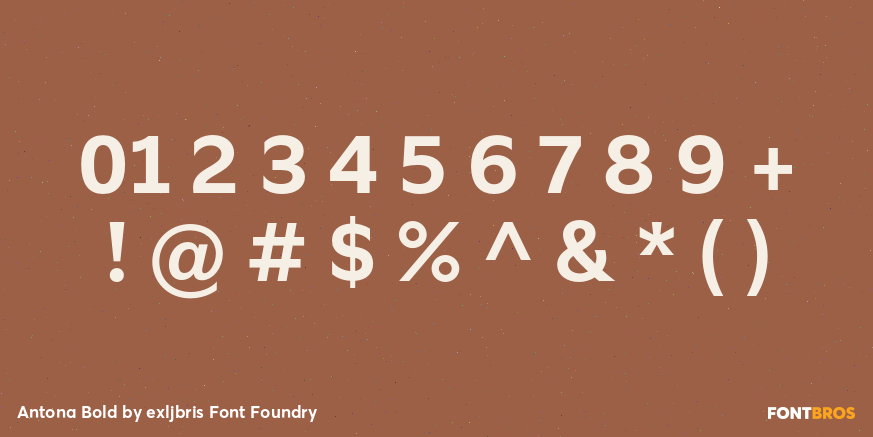 Antona Bold Font Poster #4