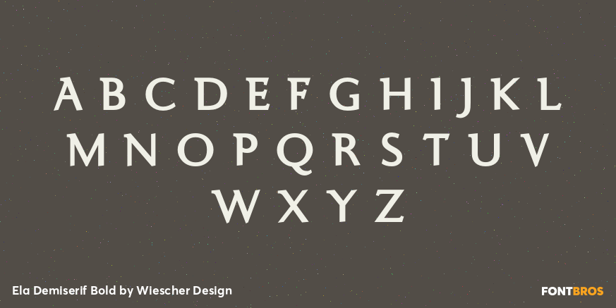 Ela Demiserif Bold Font Poster #1