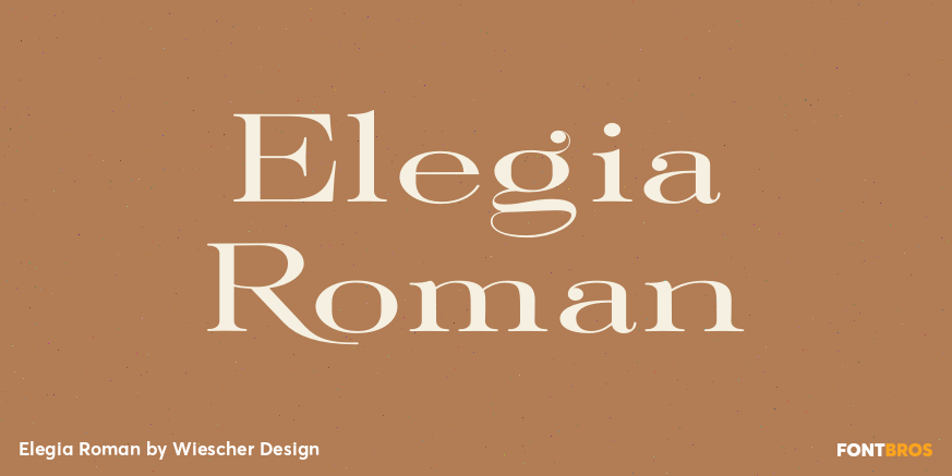 Elegia Roman Font Poster #1